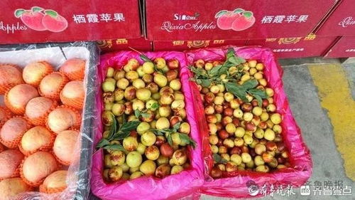 冬棗變“夏棗”？反季上市價高銷量漲，25元一斤仍受熱捧