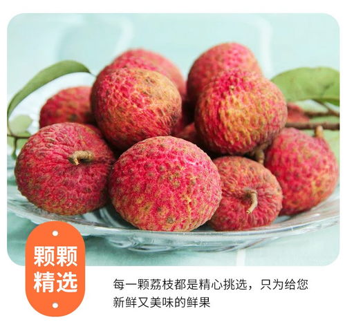 高州白糖罌荔枝 當季鮮果，滋味直達——5斤裝整箱批發品鑒